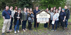 Students put their skills into action with Merseyside Dogs Home