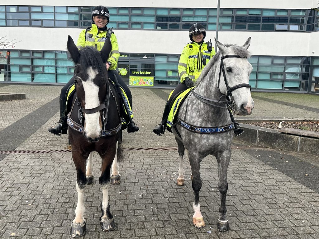 Picture from our Day of Action Event