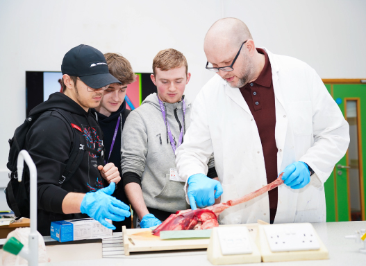 Picture from our Healthcare Science Skillshow