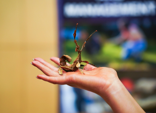 Picture from our Healthcare Science Skillshow