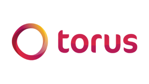 Torus Logo